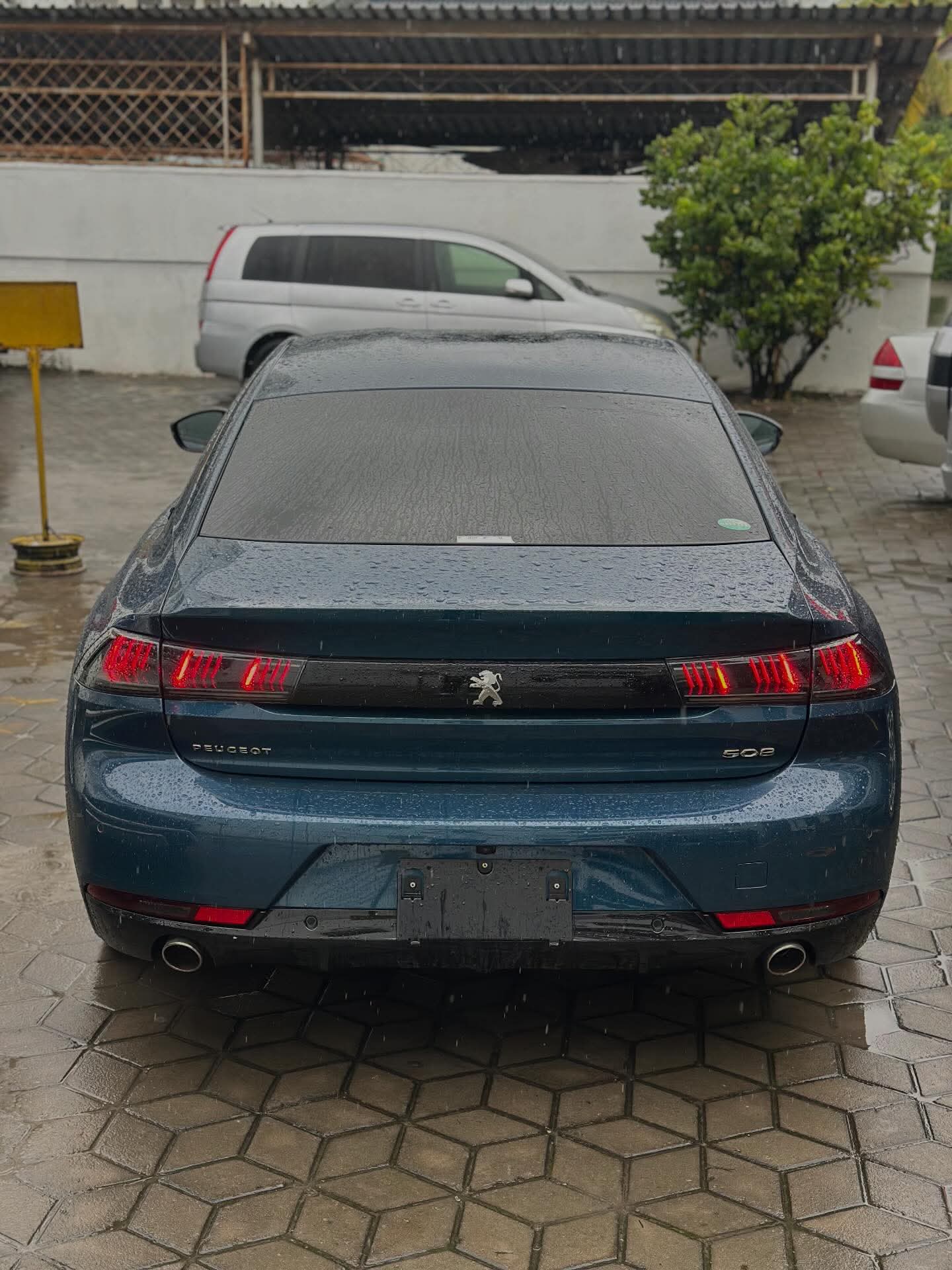 Import Models